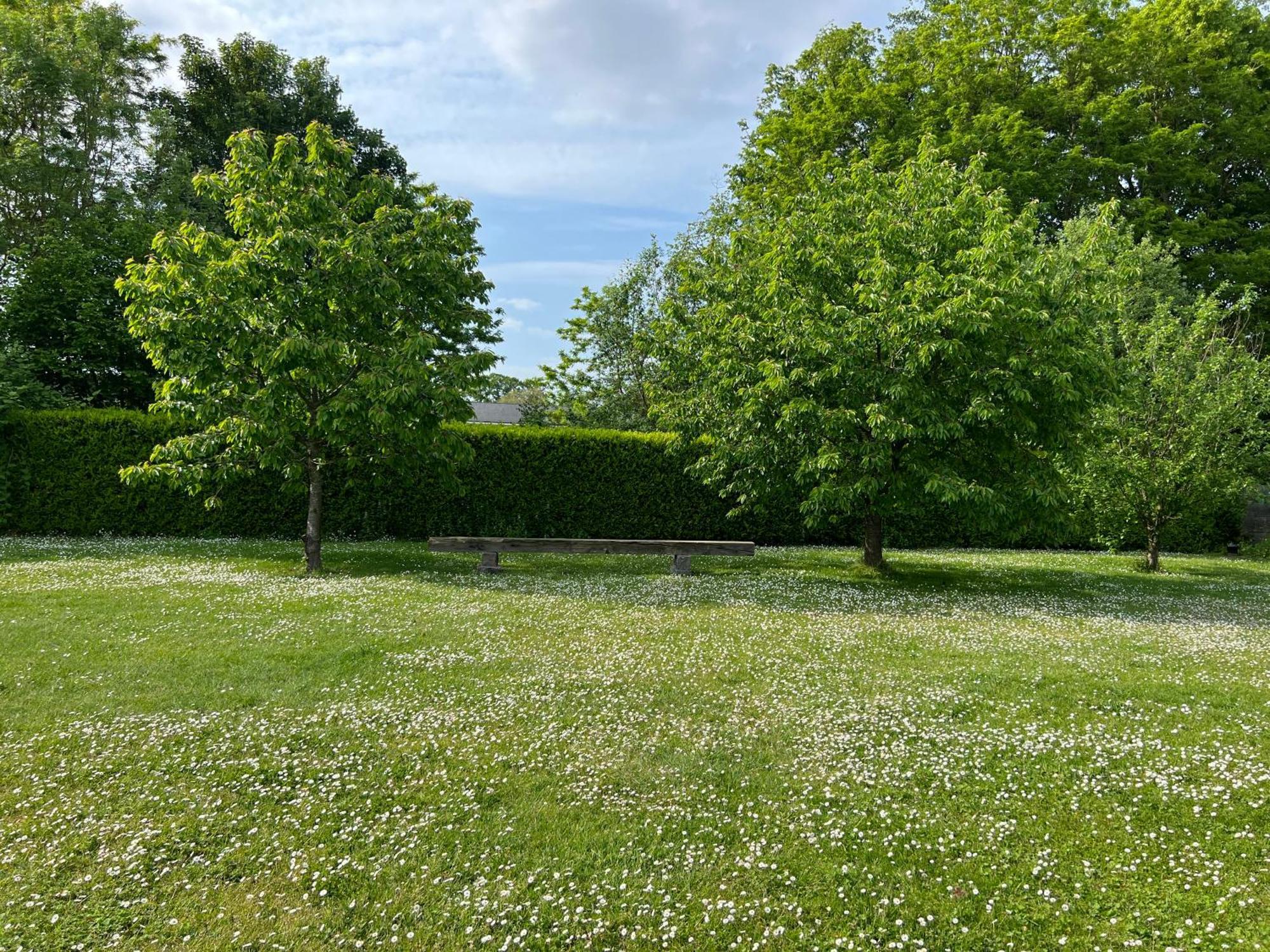 Ferienwohnung Dame Cerise Wavre Exterior foto